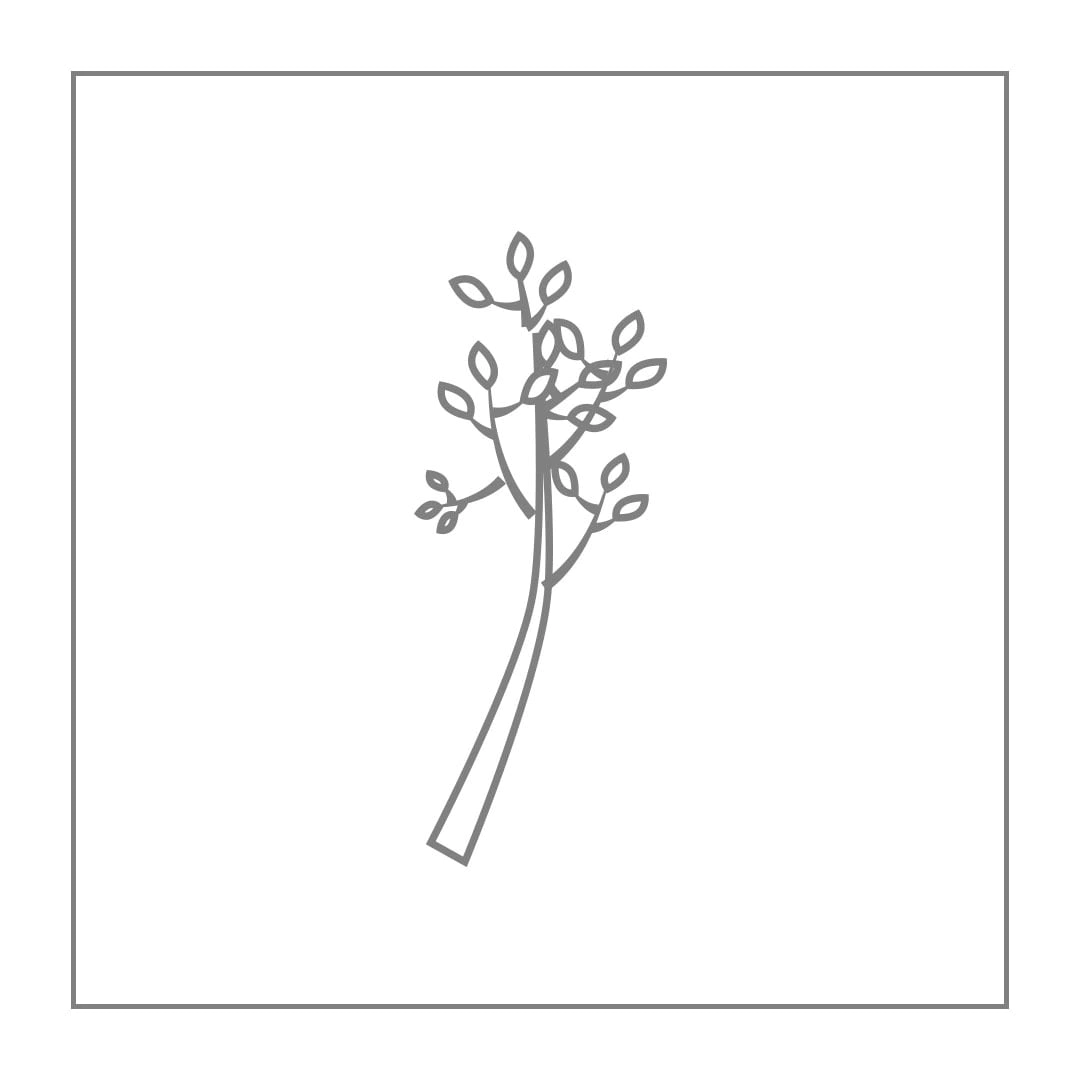 Classic Red - The Legendary Bouquet 13 Caspia 3