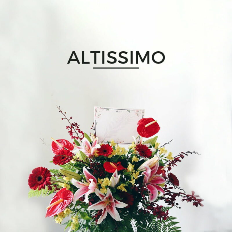 Altissimo grand opening stand2 web 1