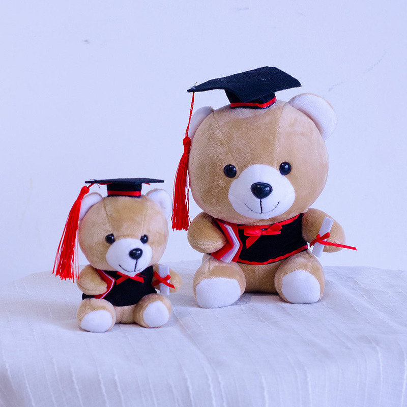 graduation bear dual