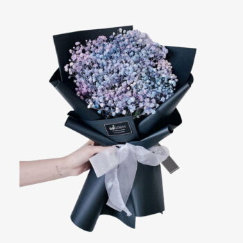 Baby Galaxy baby breath