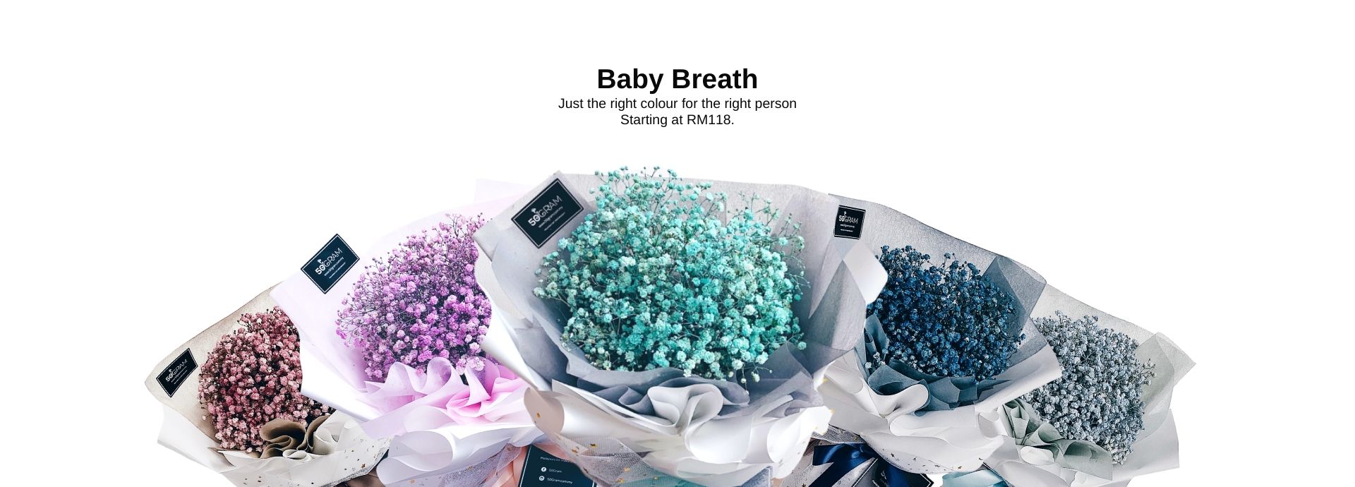 Baby Breath Series 1 Baby Breath