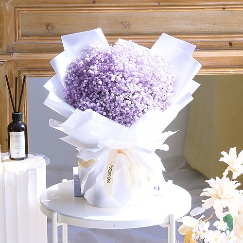 Baby Lavender Medium Retake 1