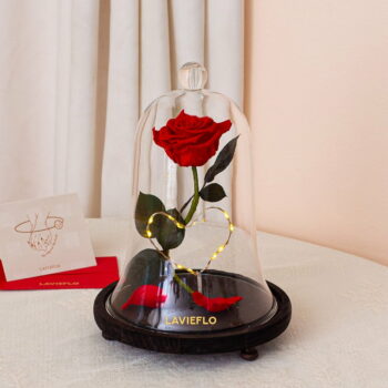 The Beast Preserved Bell Jar
