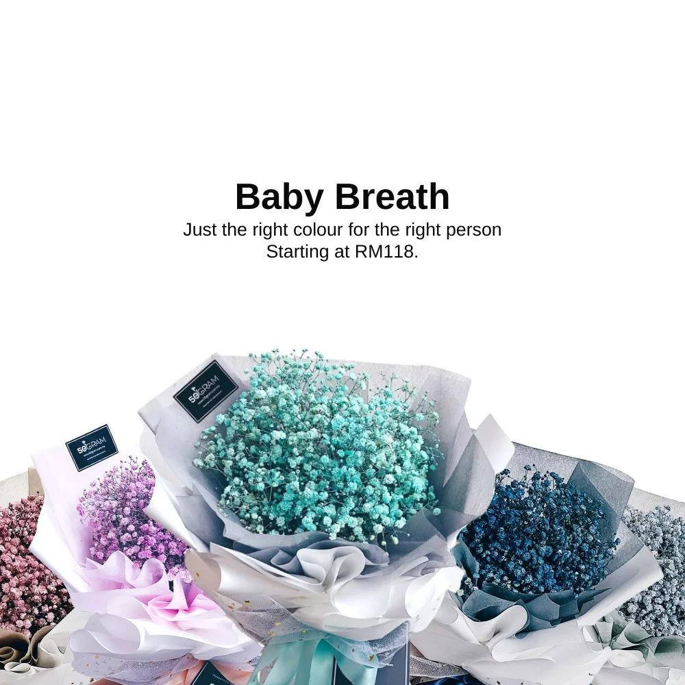 Baby Breath Series 2 baby breath new series landing