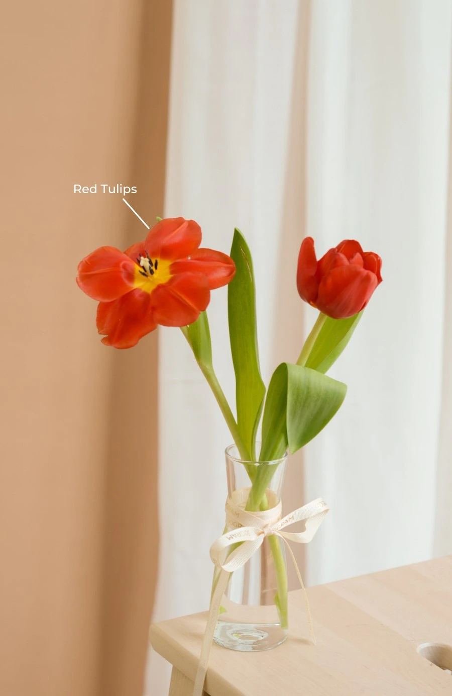 Tulips Fantasy
