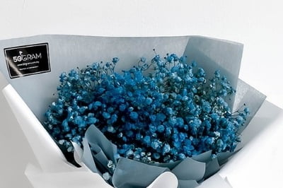 Baby breath colour blue