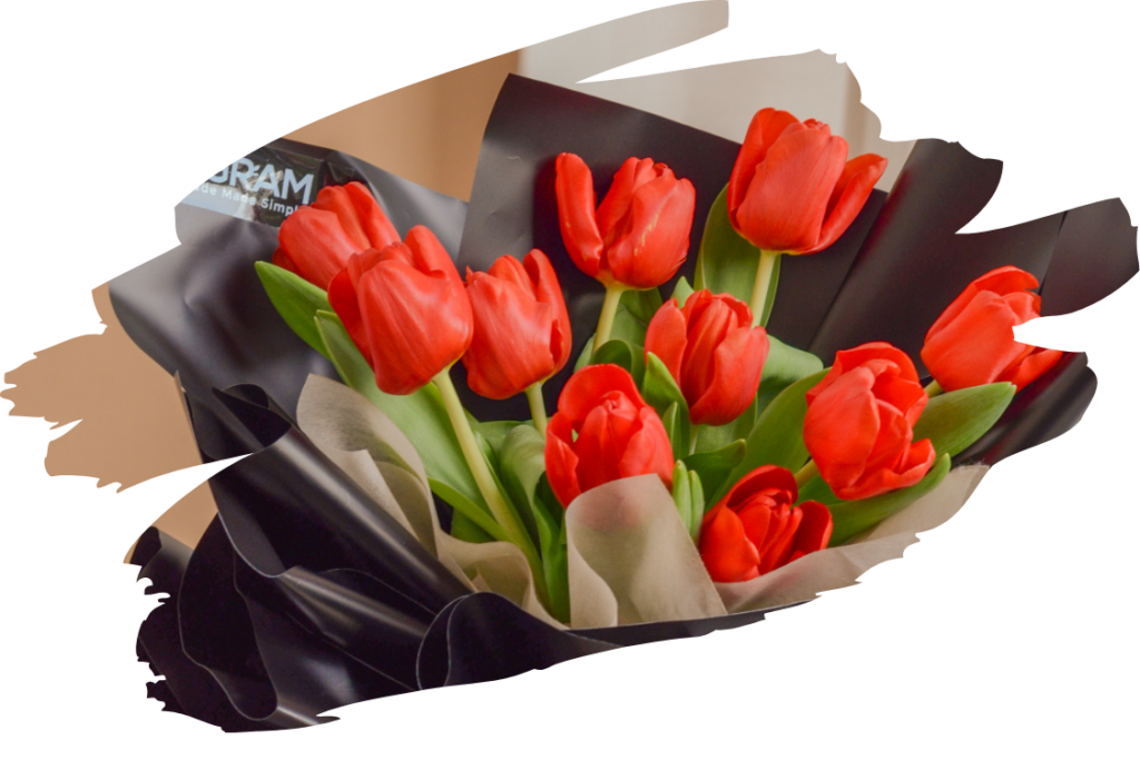 tulips fantasy