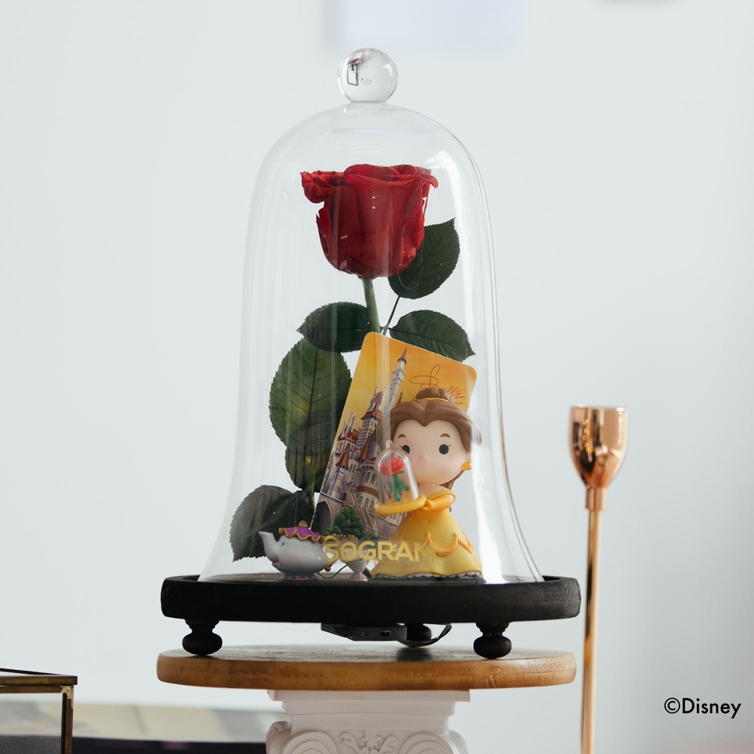 Belle | roses preserved jar