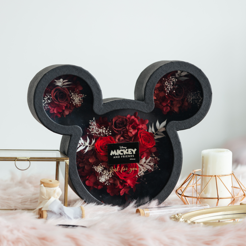 Mickey head shaped flower box 3