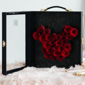 Mickey shaped vertical flower box 6