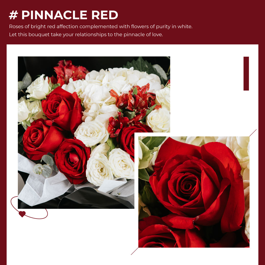 Pinnacle red 3