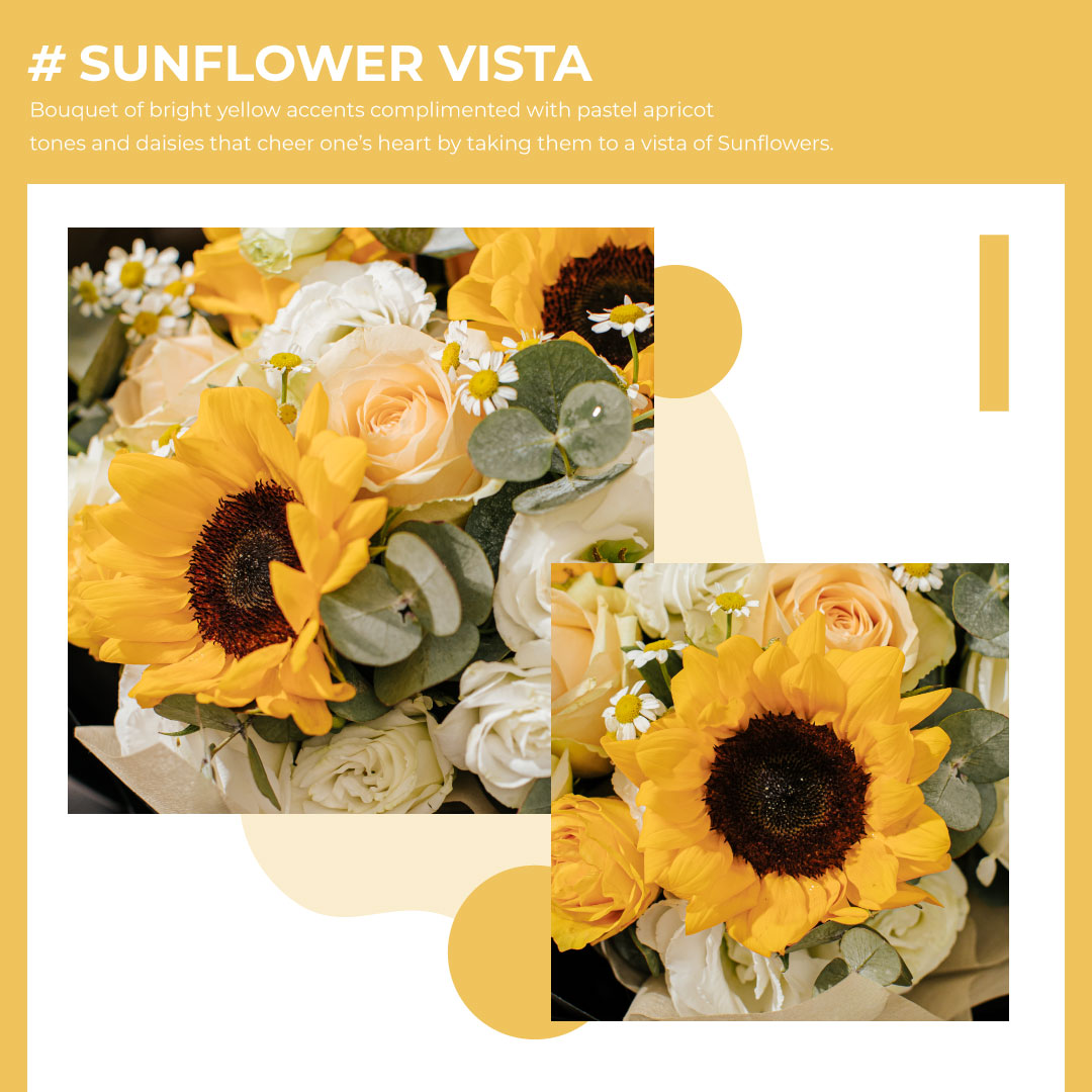 Sunflower vista 3