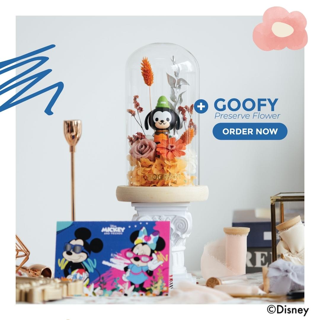 Mickey preserve goofy08