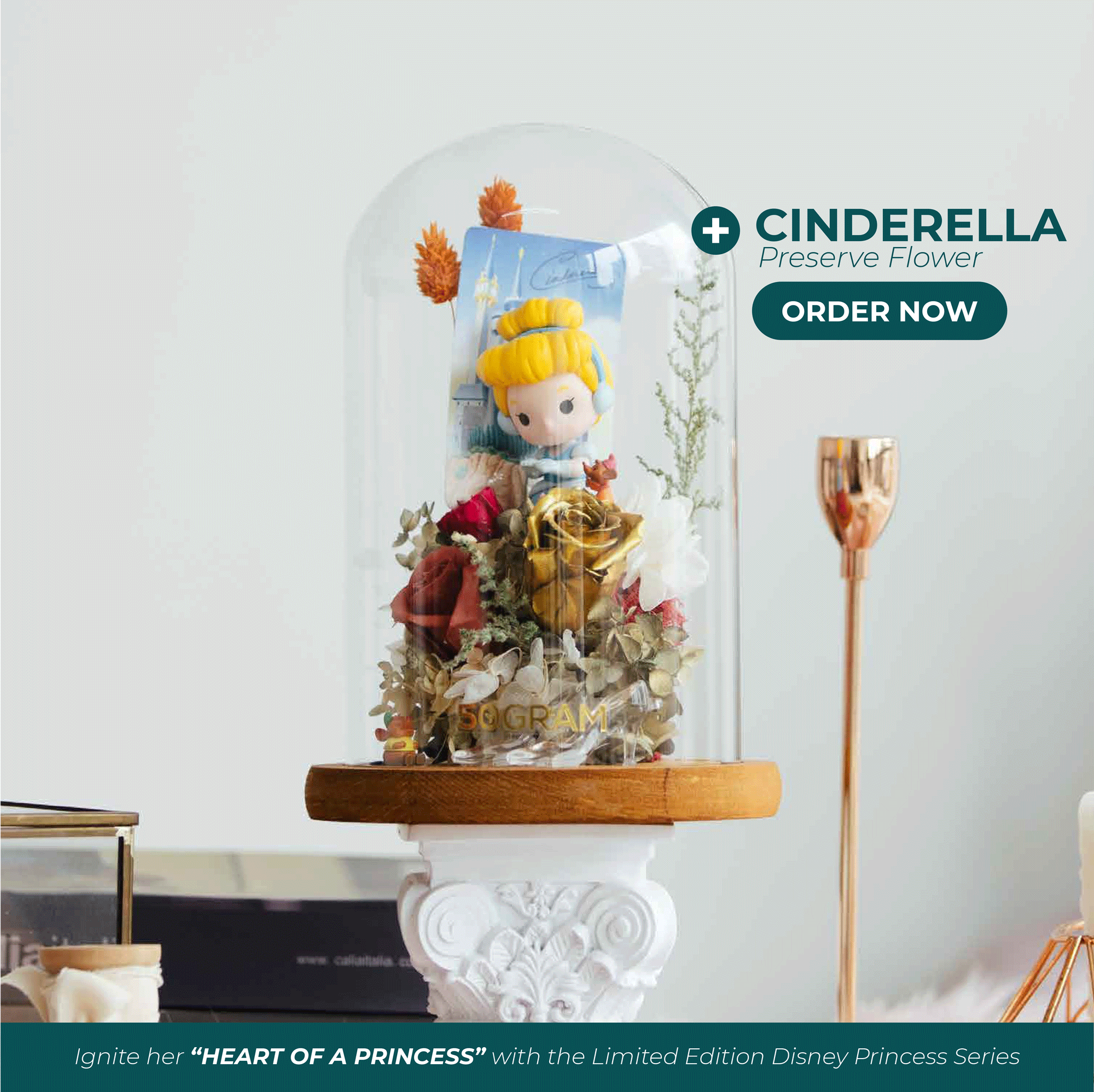 Princess preserve cinderrella