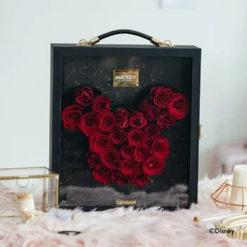 Mickey shaped vertical flower box 4
