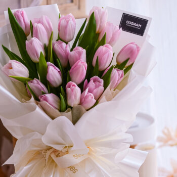 Light pink, tulip, light pink tulip, free delivery, kl, kuala lumpur, birthday, surprise