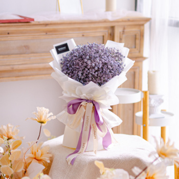 Baby lavender, lavender, purple, baby breath