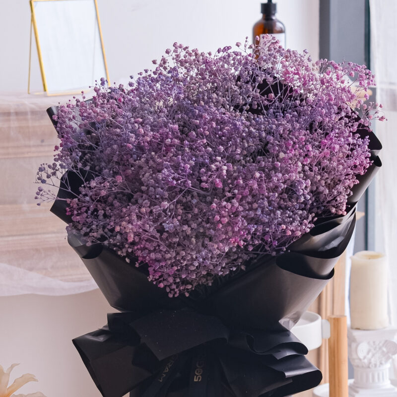 Purple color baby breath flower bouquet with blurred background
