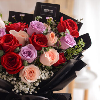 Red rose, purple rose, champagne rose, baby breath