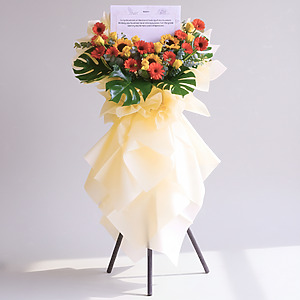 Golden Delicate | Opening Stand