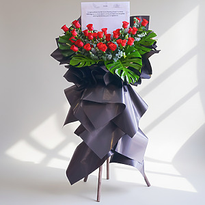 Lavish Lustres | Opening Stand