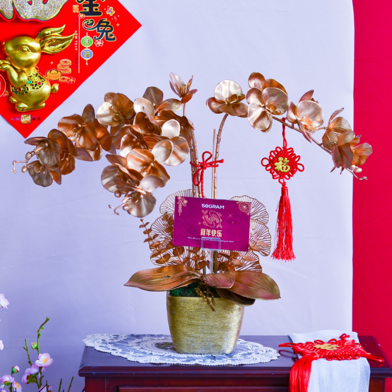 金兔迎春 golden spring decorative orchid flower - cny flower free delivery to kl/pj
