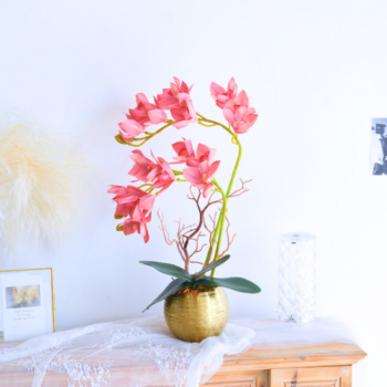 Rising Occasion (Artificial Orchid) | Opening flower Pot free delivery KL PJ