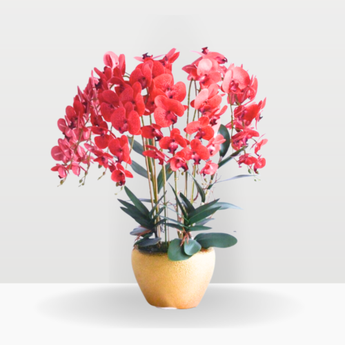 Delightful glory (artificial orchid) | opening flower pot free delivery kl & pj