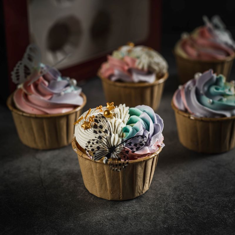 Fairyland cupcakes 2