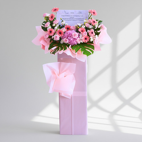 Blushing fortune premium size fp 1