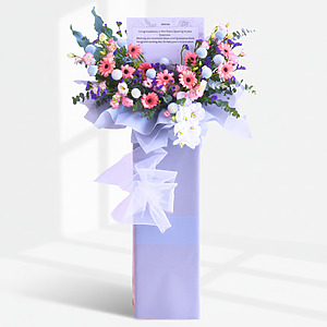 Dreamscapes | Business Opening Stand