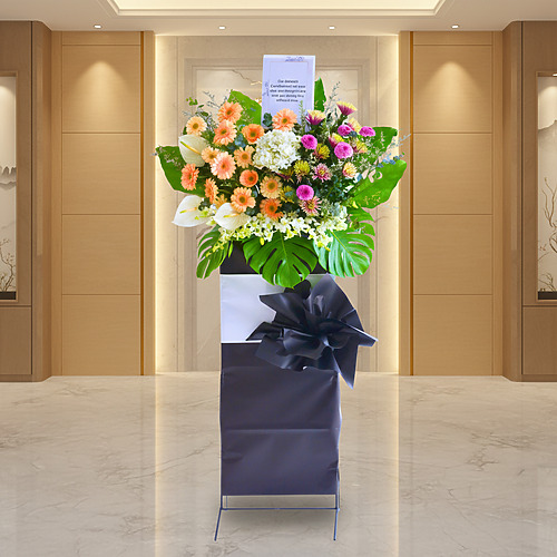 Ethereal tribute premiun fp 2