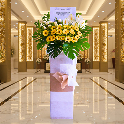 Golden serenade premium fp 2