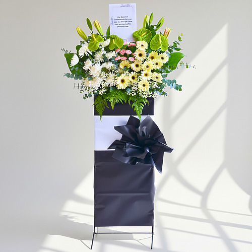 Luminous memories premium fp 1