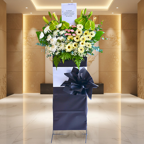 Luminous memories premium fp 2