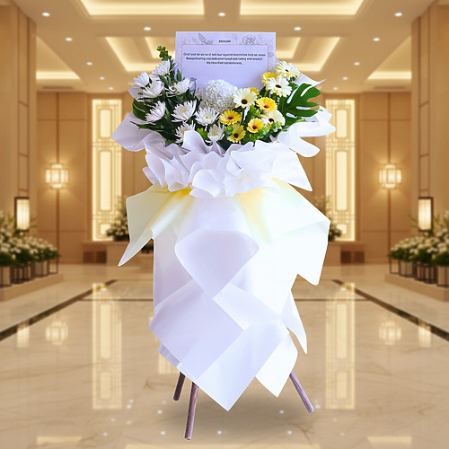 Pure elegance premium fp 2