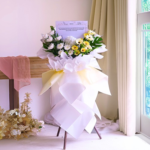 Pure Elegance Premium New 6