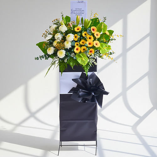 Serenade of sunshine premium fp 1