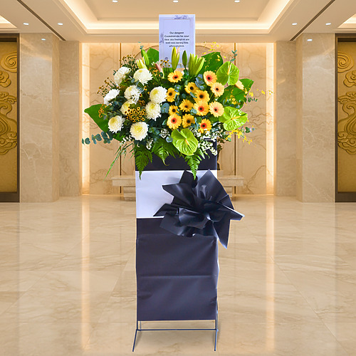 Serenade of sunshine premium fp 2