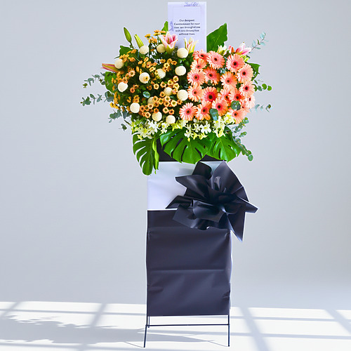 Serene harmony premium fp 1