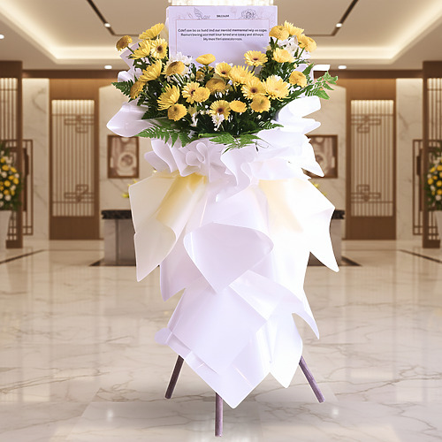 Sunny serenade premium fp 2