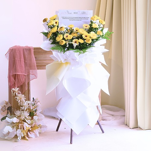 Sunny Serenade Premium New 3