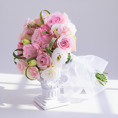 Roseate embrace fp 1