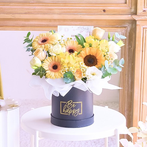 Sunshine Elegance NEW 2