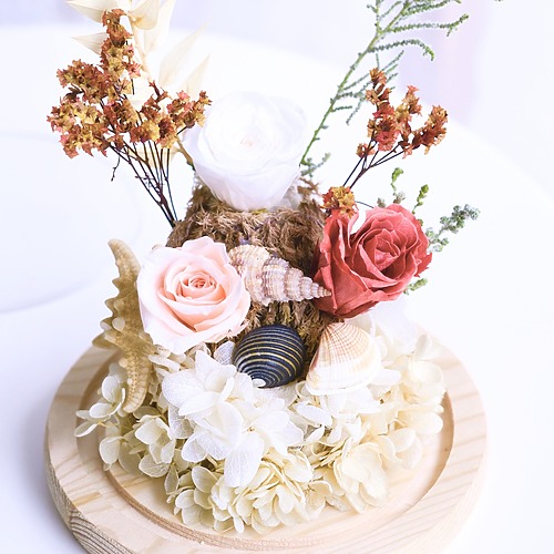 Sandy shores light pink rose preserved flower 4