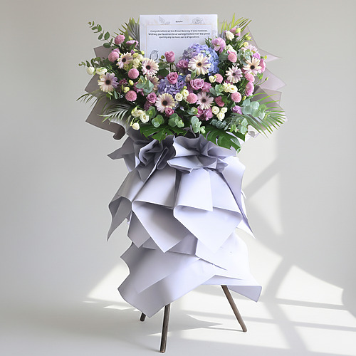 Aspire to greatness fp 1