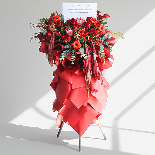 Opulent beginnings fp 1