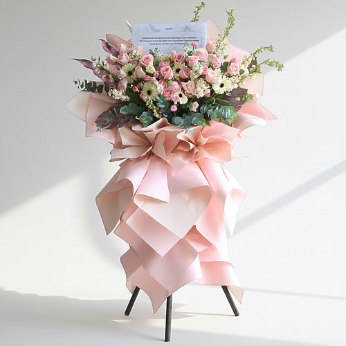 Prosperous path fp 1