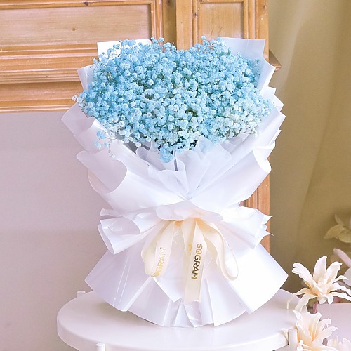 Baby Breeze Medium 2