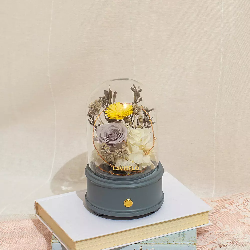 Dance of Life (Bluetooth Speaker with LED) | Preserved Flower